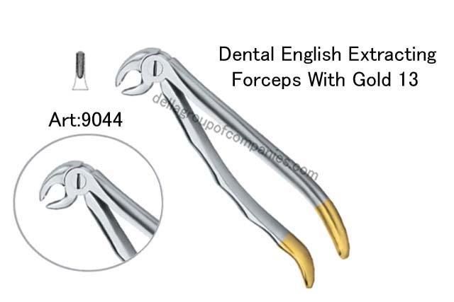 Dental English  Extraction Forceps With Gold Anatomical & finger Handle