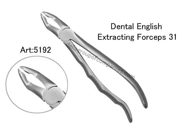 Dental English  Extraction Forceps  Anatomical & finger Handle