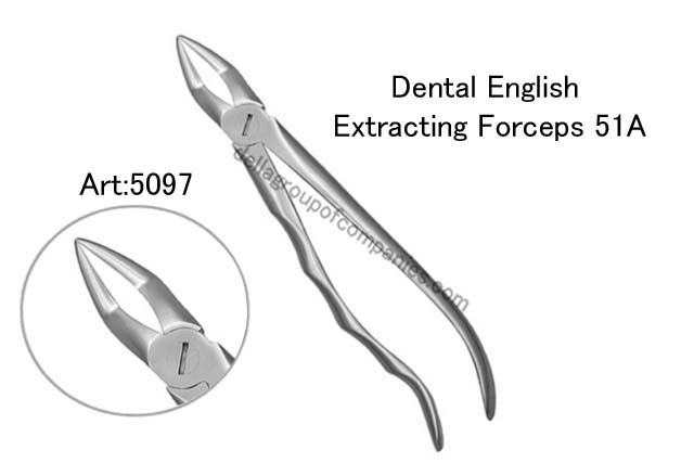 Dental English Extraction Forceps  Anatomical & finger Handle 
