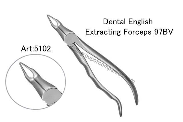 Dental English  Extraction Forceps  Anatomical & finger Handle