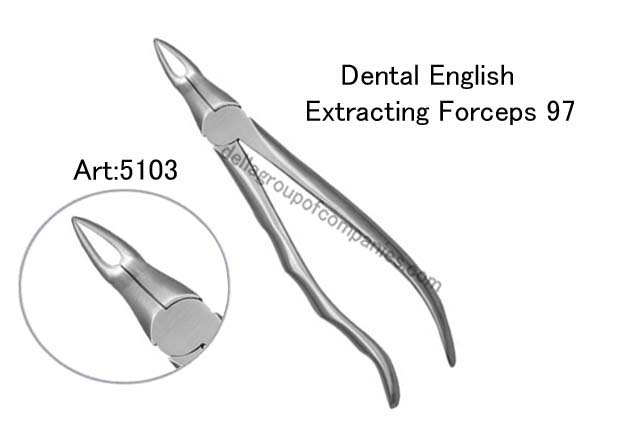 Dental English  Extraction Forceps  Anatomical & finger Handle