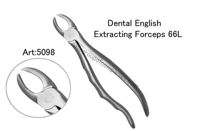 Dental English  Extraction Forceps  Anatomical & finger Handle 