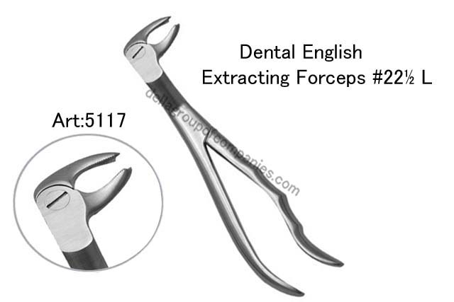 Dental English  Extraction Forceps  Anatomical & finger Handle 