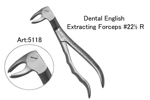 Dental English  Extraction Forceps  Anatomical & finger Handle
