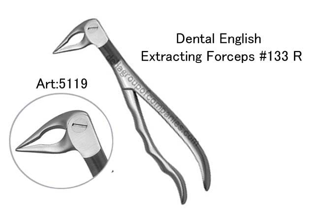 Dental English  Extraction Forceps  Anatomical & finger Handle