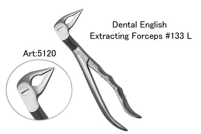Dental English  Extraction Forceps  Anatomical & finger Handle