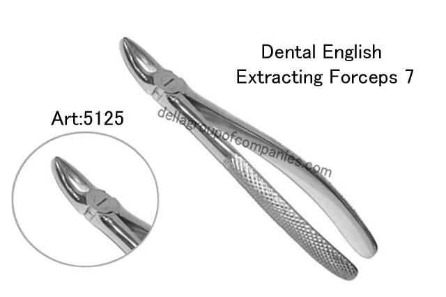 Dental English Extraction Forceps 