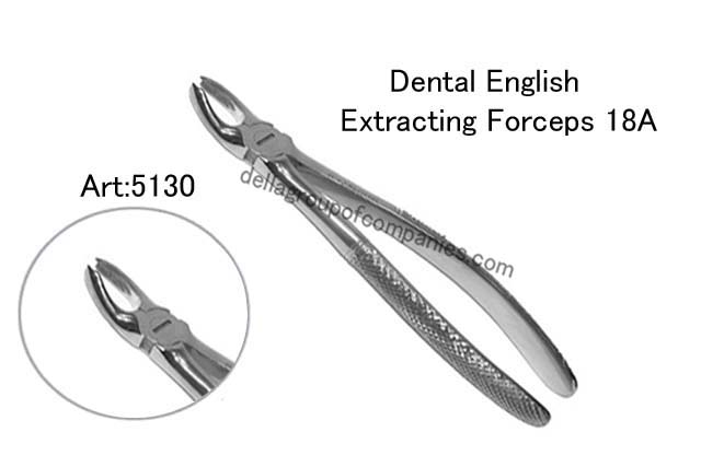 Dental English Extraction Forceps 