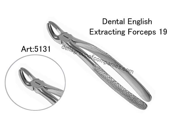 Dental English Extraction Forceps 