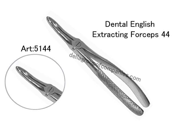 Dental English Extraction Forceps 