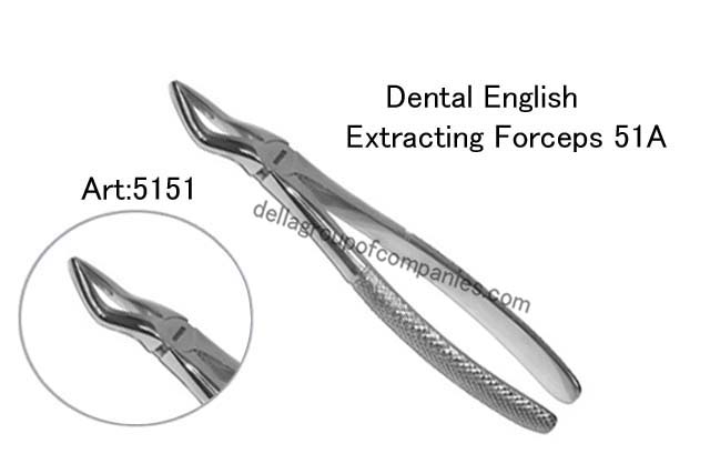 Dental English Extraction Forceps 