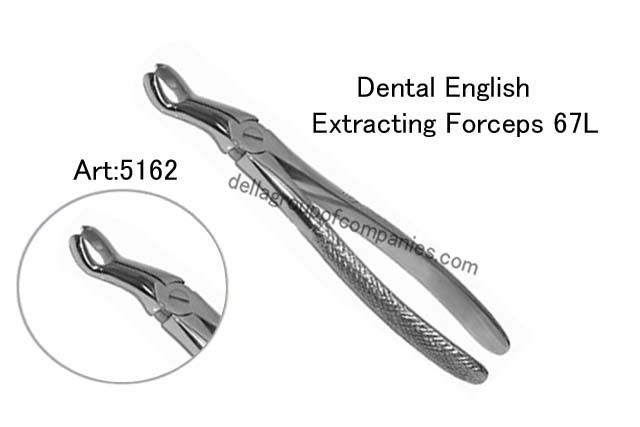 Dental English Extraction Forceps 