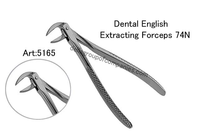 Dental English Extraction Forceps 