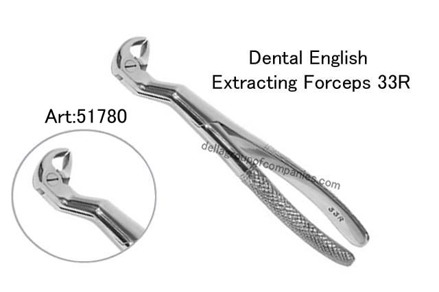 Dental English  Extraction Forceps 