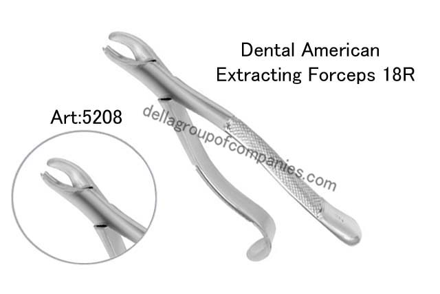 Dental American Extracting Forceps 