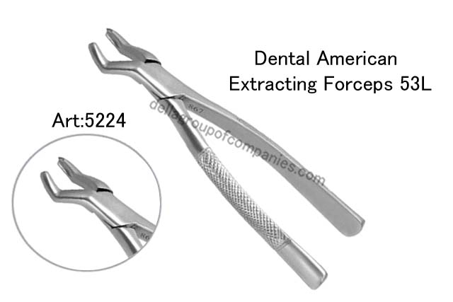 Dental American Extracting Forceps 