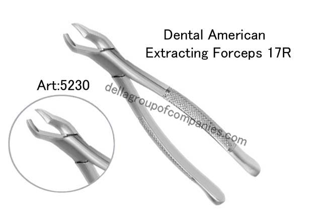 Dental American Extracting Forceps 