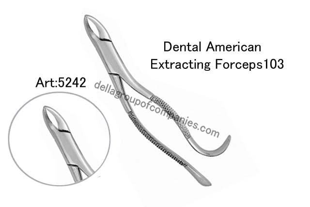 Dental American Extracting Forceps 