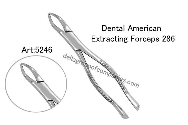 Dental American Extracting Forceps 