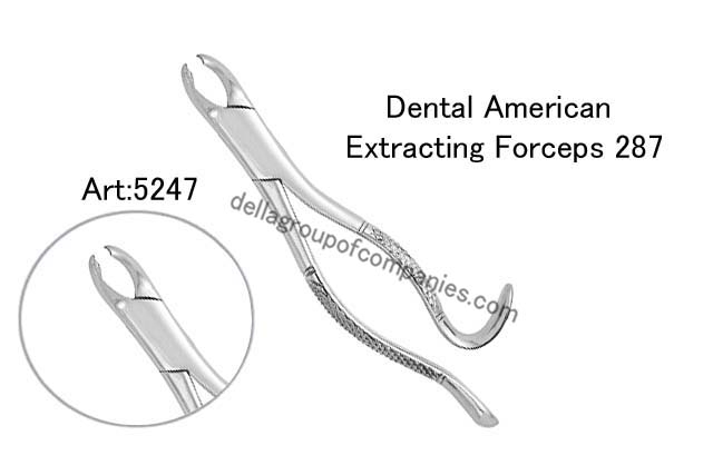 Dental American Extracting Forceps 