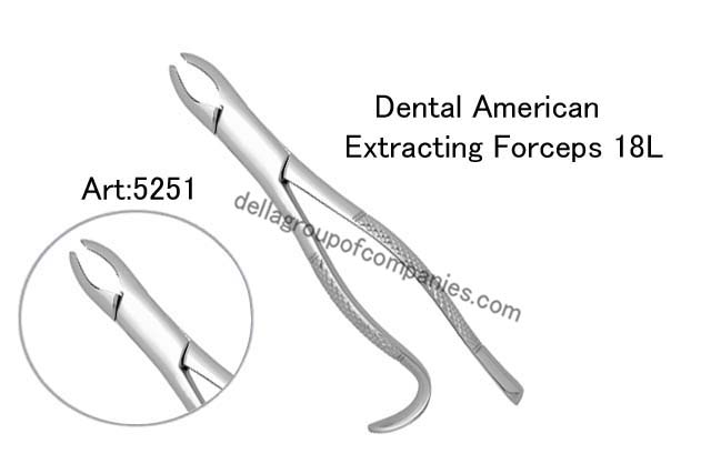Dental American Extracting Forceps 