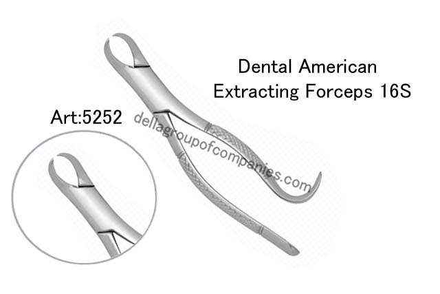 Dental American Extracting Forceps 