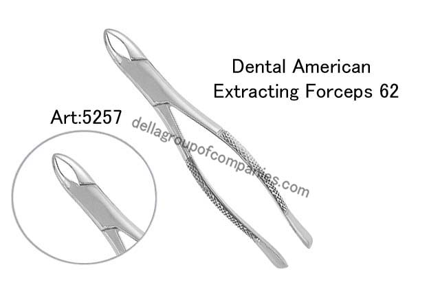 Dental American Extracting Forceps 