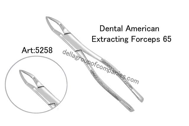 Dental American Extracting Forceps 