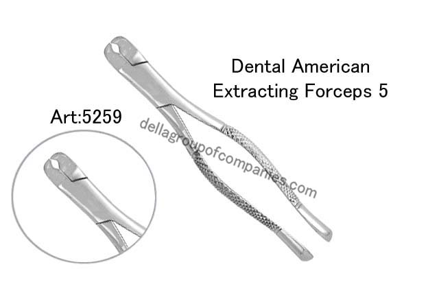 Dental American Extracting Forceps 