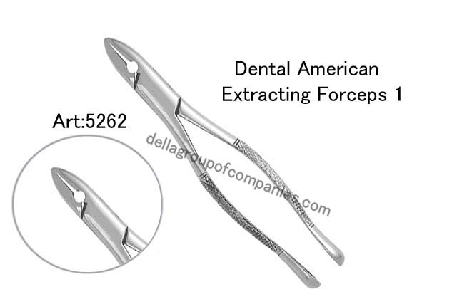 Dental American Extracting Forceps 