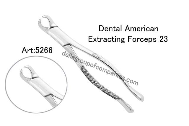 Dental American Extracting Forceps 