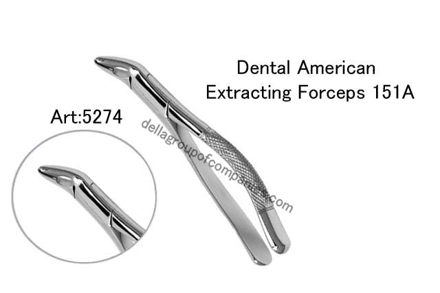Dental American Extracting Forceps 