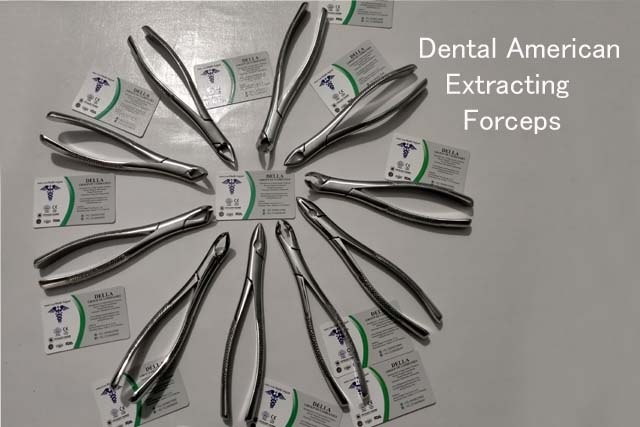 Dental American Extracting Forceps 